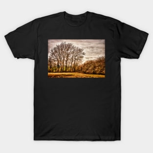 Countryside Ramblings T-Shirt